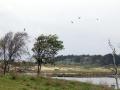 10-DSC02675-