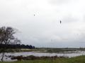12-DSC02736-