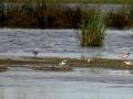 14-DSC04094-