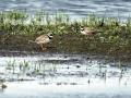 15-DSC04103-