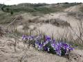19-DSC02114-