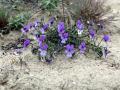 20-DSC02802-