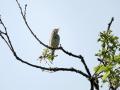 21-DSC03557-