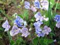 22-DSC02930-