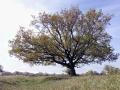 28-DSC02974-