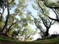 31-DSC02902-