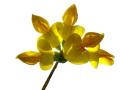 37-DSC04012-