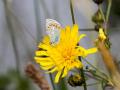 548A8851a-