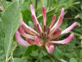 L1020205