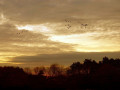 01-DSC09301-