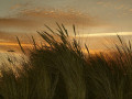 02-DSC08907-