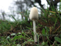 04-DSC08664-