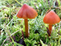 06-DSC08726-