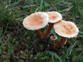 08-DSC08757-