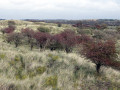 10-DSC08732-
