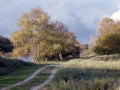 15-DSC08745-