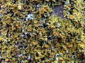 16-DSC09095-