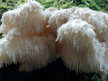 18-DSC08822-