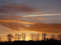24-DSC08905-