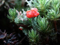 27-DSC08943-