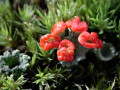 29-DSC08981-