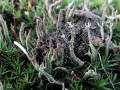 33-DSC08971-33