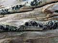 40-DSC09382-