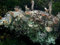 41-DSC09488-