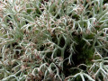 45-DSC09181-