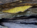47-DSC09248
