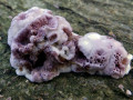 50-DSC08893-