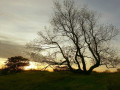 51-DSC08915-