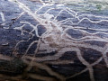 52-DSC09429-