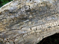 53-DSC09430