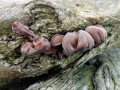 54-DSC09433-r