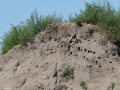 8C9A2872