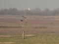 788A9609