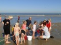 Zeediertjes-2019-3