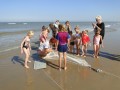 Zeediertjes-2019-8