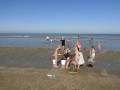 Zeediertjes-2019
