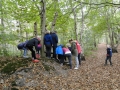 Paddenstoelen 2018 (12)