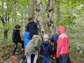 Paddenstoelen 2018 (13)