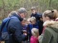 Paddenstoelen 2018 (2)