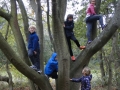 Paddenstoelen 2018 (4)