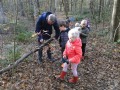 Paddenstoelen-2020-10