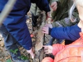 Paddenstoelen-2020-11