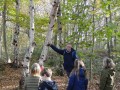 Paddenstoelen-2020-12