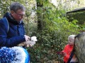 Paddenstoelen-2020-4