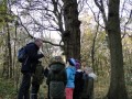Paddenstoelen-2020-5