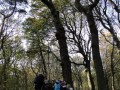 Paddenstoelen-2020-6